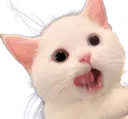 aaa