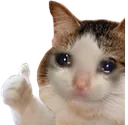 sad_thumbs_up_cat