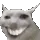 CATBRUHZ
