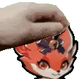 foxpet
