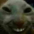 xdd
