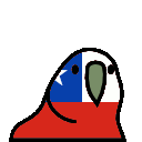 1093_chileparrot Discord emoji