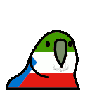 2356_equatorialguineaparrot Discord emoji