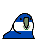 3249_elsalvadorparrot Discord emoji