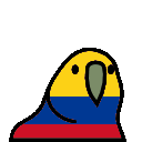 5766_colombiaparrot Discord emoji