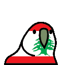 3627_lebanonparrot Discord emoji