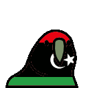 4647_libyaparrot Discord emoji