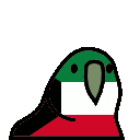 5502_kuwaitparrot Discord emoji
