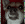 EN_doggrrrr Discord emoji
