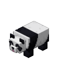 Pandaroll Discord Emoji
