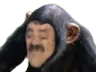 monkey