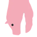 pig2susTopHeadRight