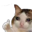 catokey
