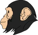 MonkeyChad MonkeyChad