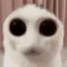 CatAlien