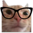 NerdCat NerdCat