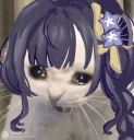 RaidenSadcat RaidenSadcat