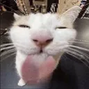 licka licka