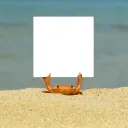 crab_whitesquare