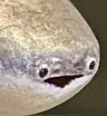 alittlelad