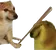 BONK BONK