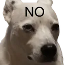no