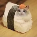Sushicat Discord Emoji