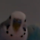 intriguing Discord emoji