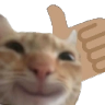 yescat Discord emoji