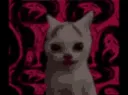 kill