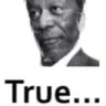 true1 true1