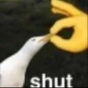 shut