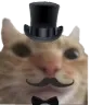 CatFancy