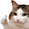 catThumbsUp Discord emoji