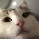 emoji_2