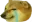 cheemscry cheemscry