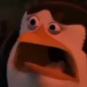 whyyyyyyy