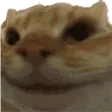 NoNo