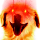 BradleyDogKill
