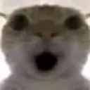 omg