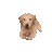 doggo_arrive