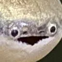 bas