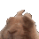 BunnyVibe
