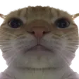 bakabo3Stare bakabo3Stare