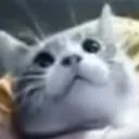 heh