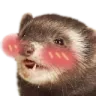 ferblush