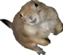 BigOuncer