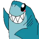 helloshark helloshark