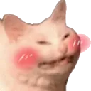 biggesthappie