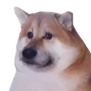 shub